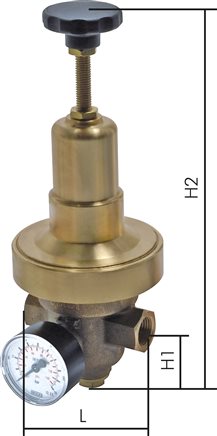 Exemplary representation: Low pressure regulator